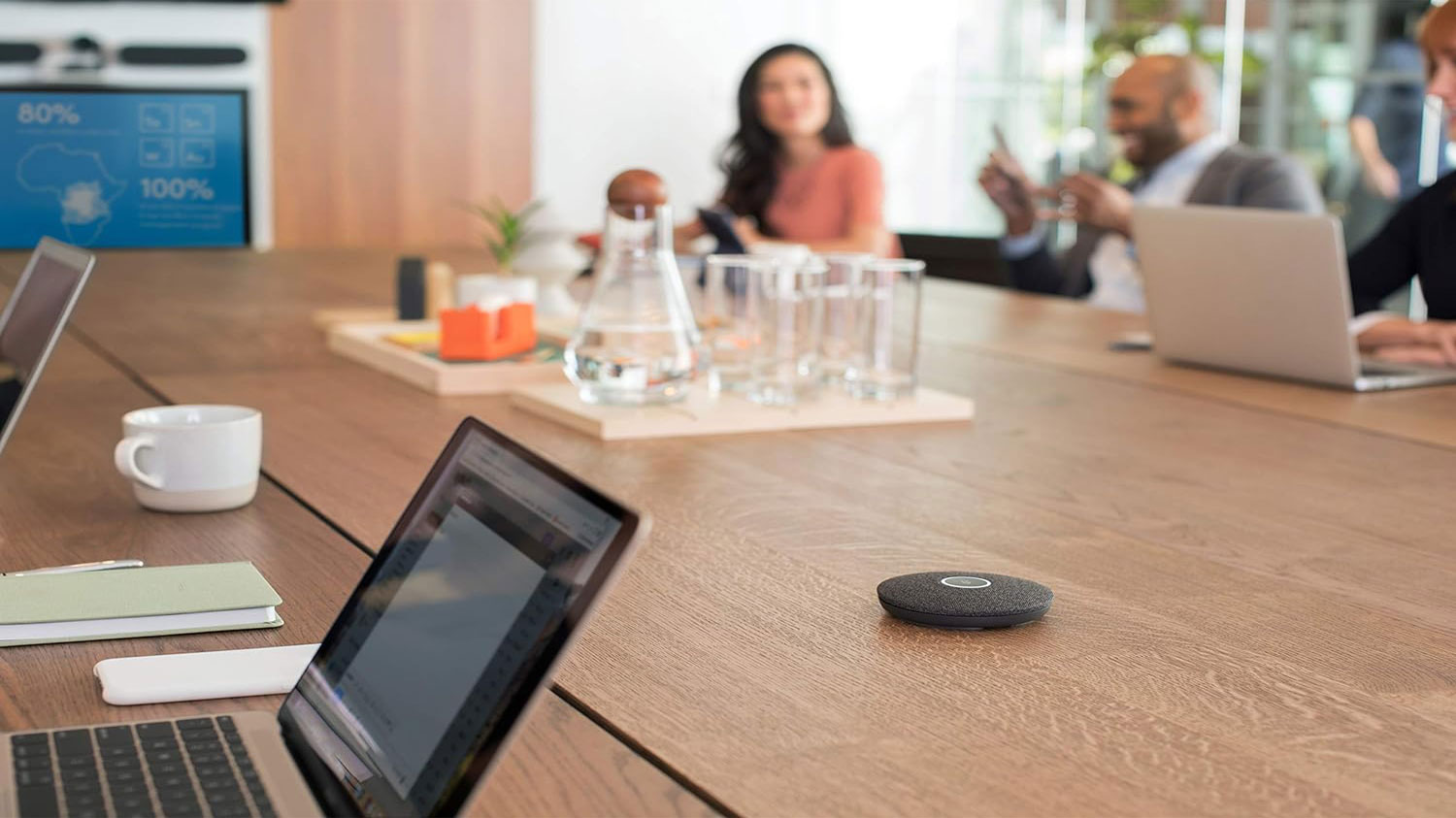Logitech RALLY Mic For RALLY Video Conference Cam